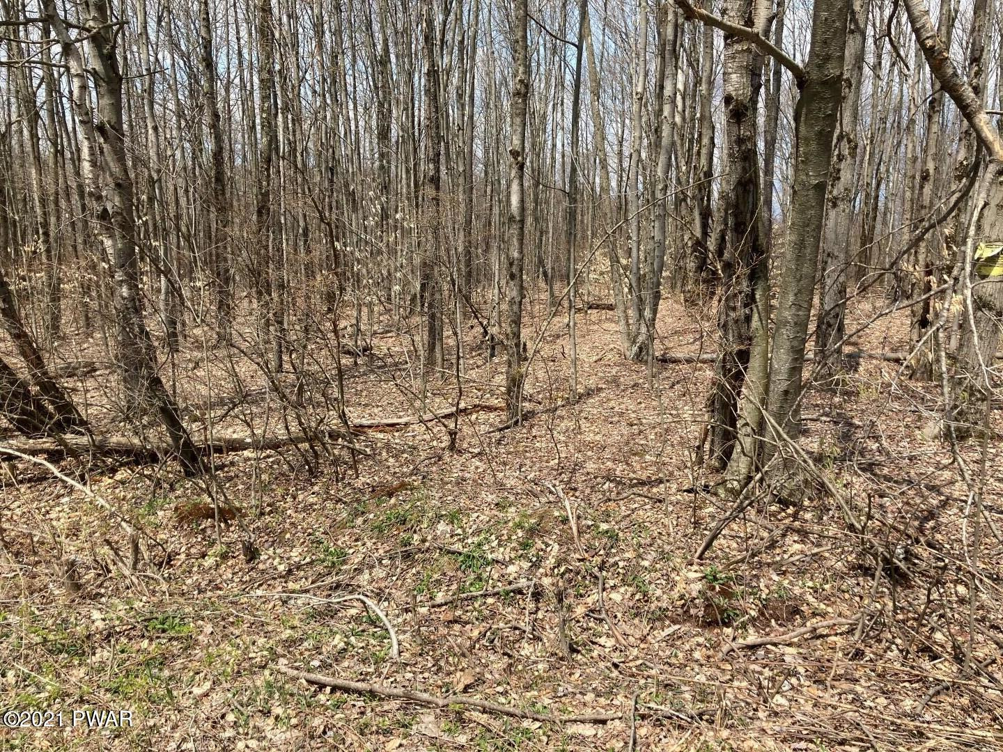 Hathaway Road Equinunk, PA 18417 - Photo 6 of 10 7