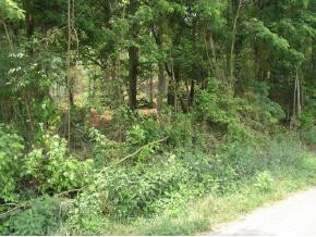 0 Buffalo Pond Road, Unit 7 Bristol, VA 24202 - Photo 1 of 1 Photo 1