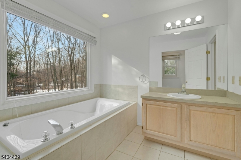 40 White Meadow Road Rockaway, NJ 07866 - Photo 25 of 41 a bathroom with a tub sink and mirror