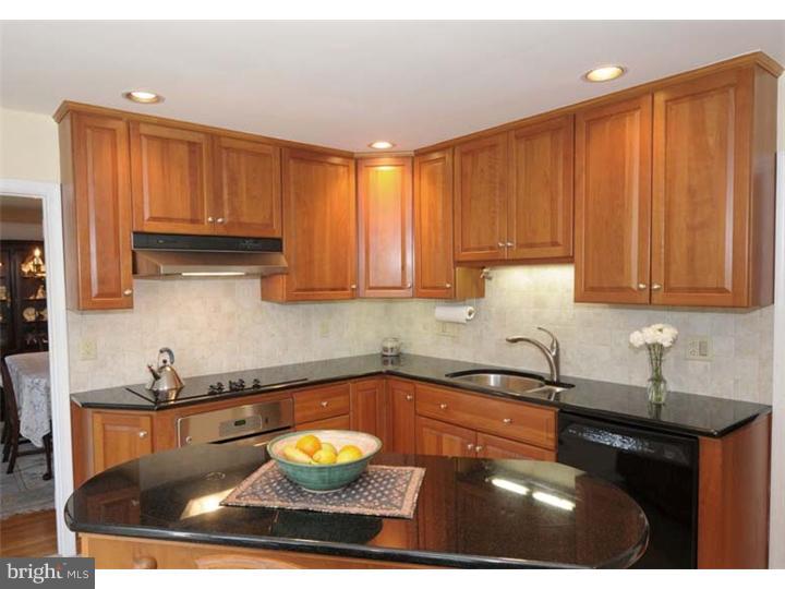 665 Llewelyn Road Berwyn, PA 19312 - Photo 5 of 21