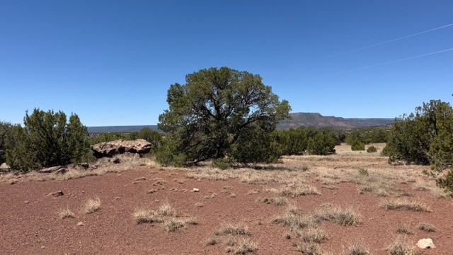 B55 Ribera Nm 87565 Ribera, NM 87560 - Photo 25 of 27