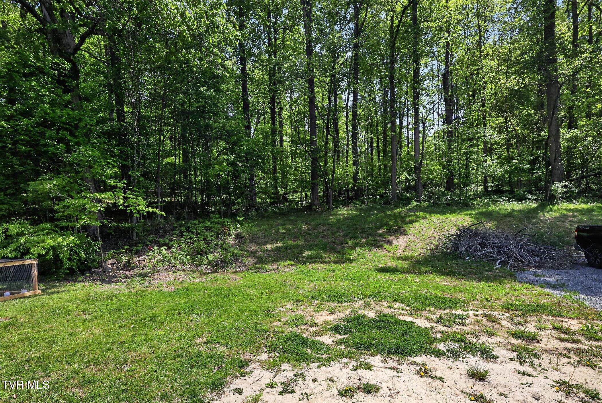 263 Big Springs Road Elizabethton, TN 37643 - Photo 37 of 38 37-263-Big-Springs-Rd-WindowStill-Photog