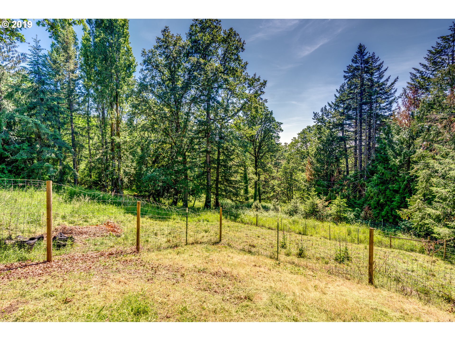 31269 South Wright Road Molalla, OR 97038 - Photo 4 of 32 Gallery Image 4