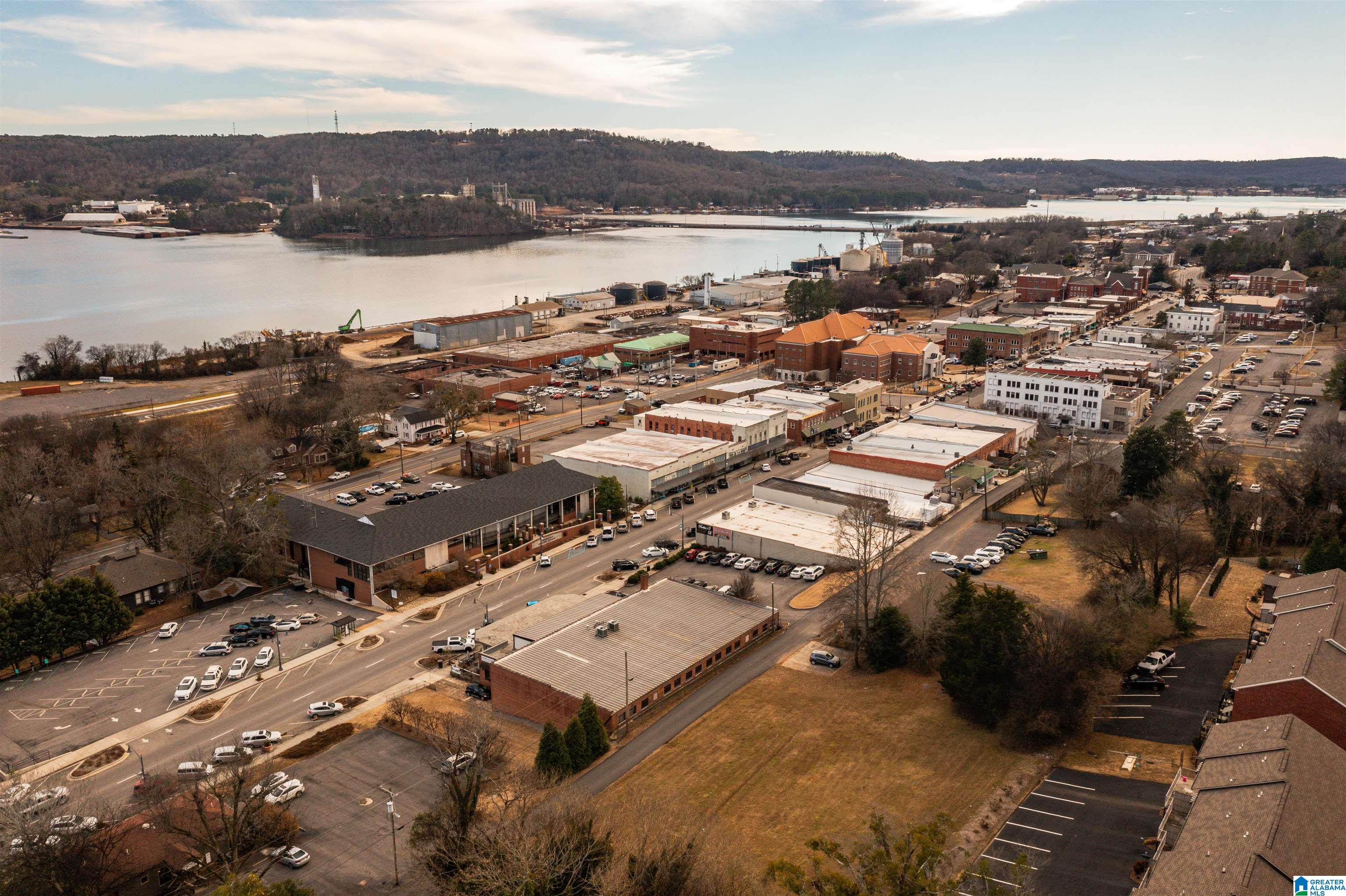 0 Browns Valley Road Guntersville, AL 35976 - Photo 38 of 39