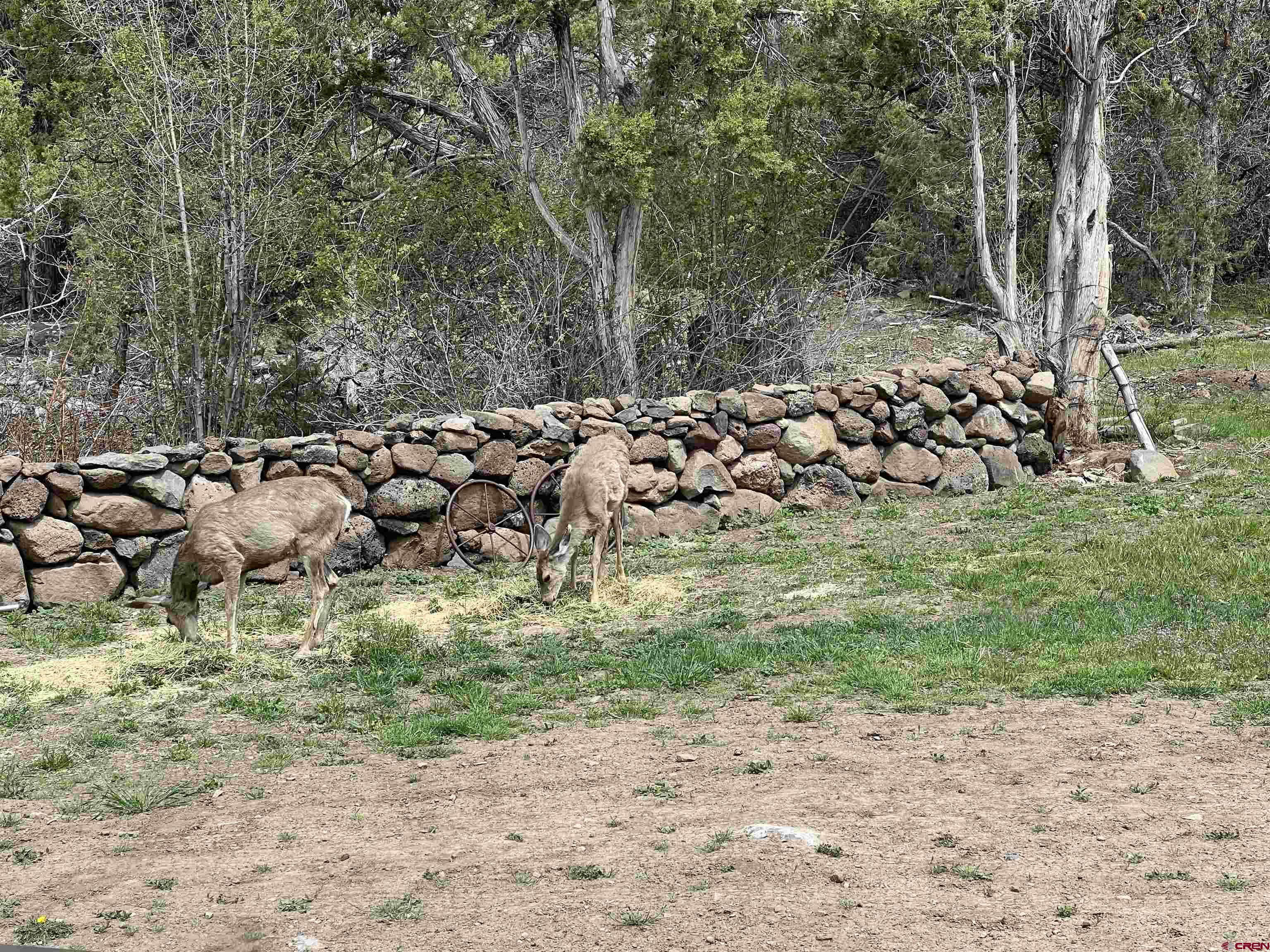 23105 U Road Cedaredge, CO 81413 - Photo 27 of 33 a view of a road with a yard
