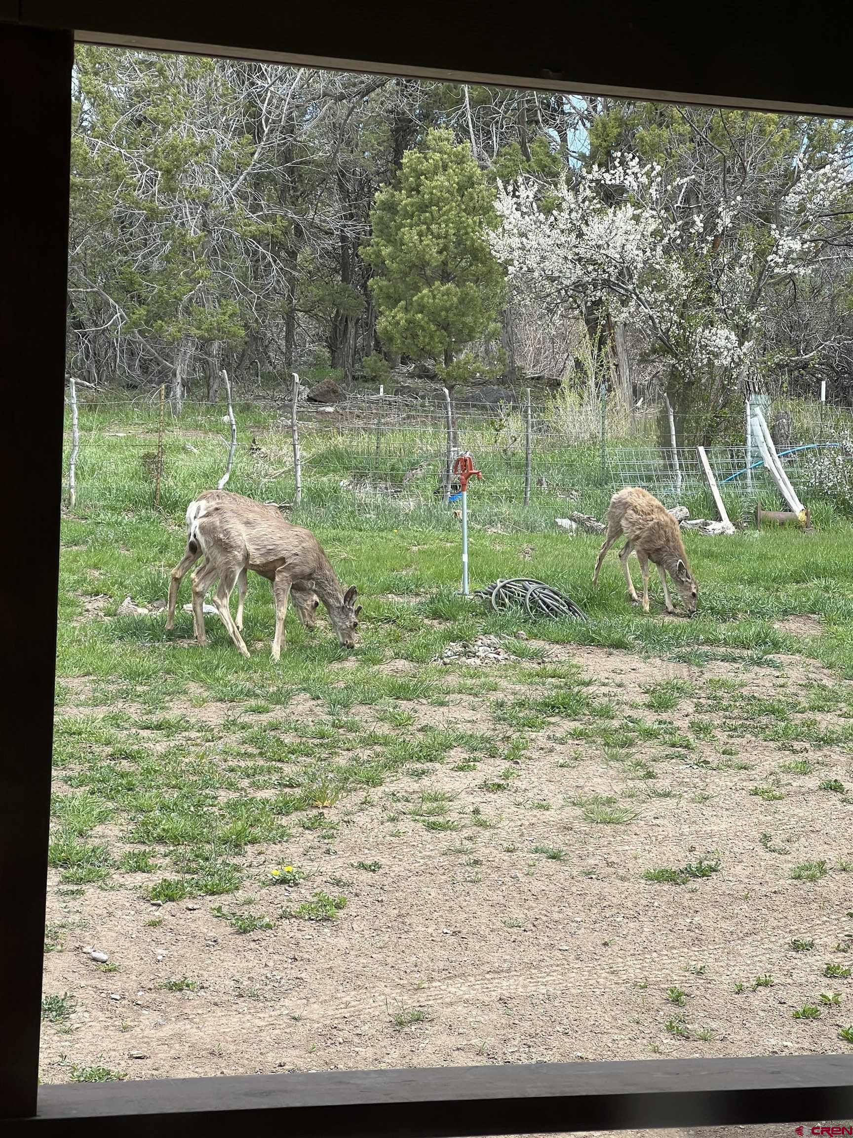 23105 U Road Cedaredge, CO 81413 - Photo 28 of 33 a backyard of a house with table and chairs