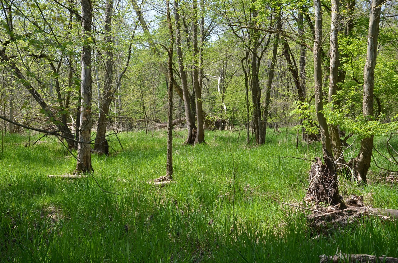 2255 River Road Hastings, MI 49058 - Photo 62 of 94