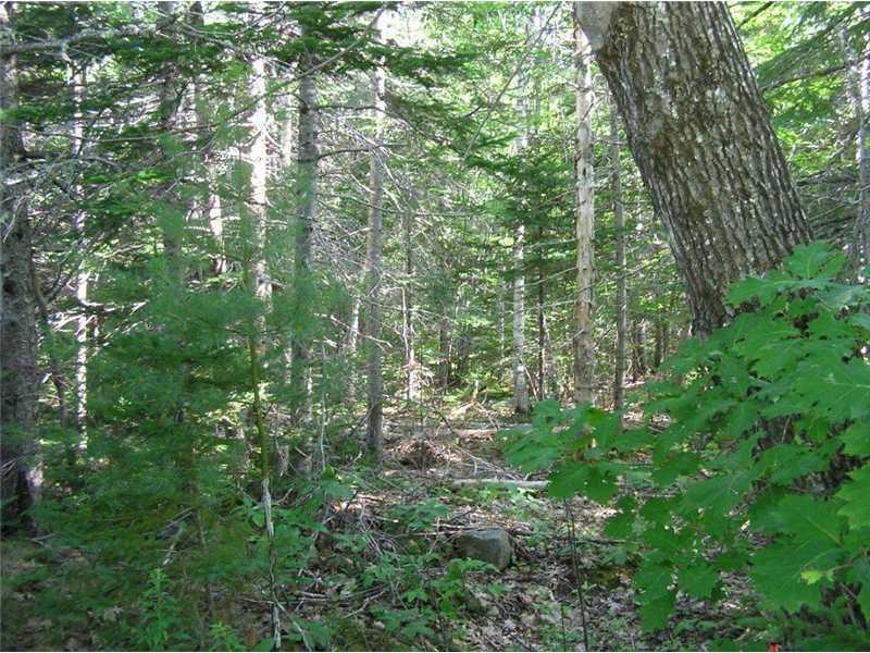 10 Gilbert Farm Road Bar Harbor, ME 04609 - Photo 2 of 4 Land/Lot.