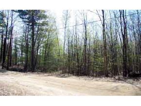 7-151 Hall Road Hillsborough, NH 03244 - Photo 3 of 4