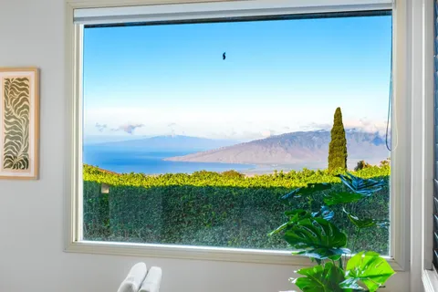 a view of a yard from a window