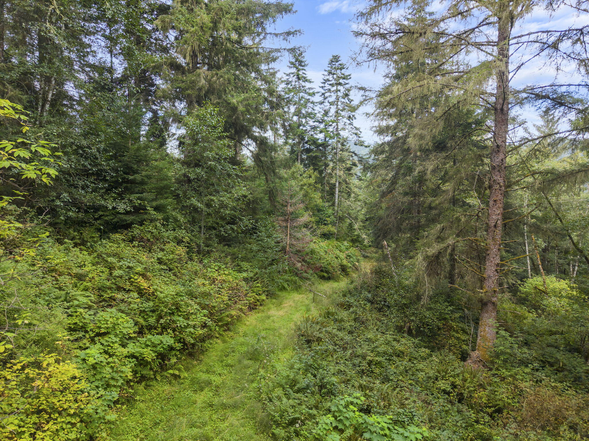 0 Williams Creek Road Ferndale, CA 95536 - Photo 10 of 13
