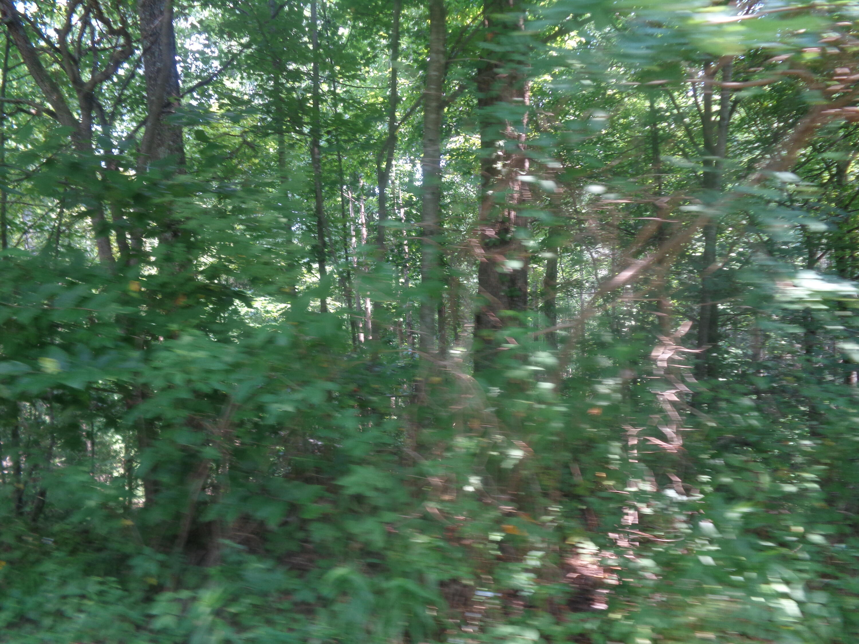 1468 County Farm Road London, KY 40741 - Photo 8 of 26 DSC05458