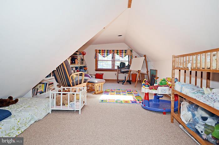 4012 Federal Hill Road Jarrettsville, MD 21084 - Photo 29 of 30 Favorite place...THE PLAYROOM