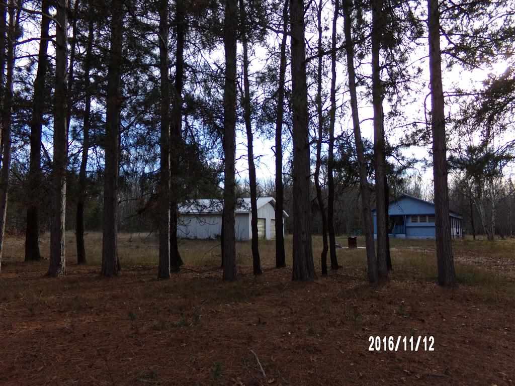 9671 West 24 Road Mesick, MI 49668 - Photo 10 of 26 1825382-9.JPG