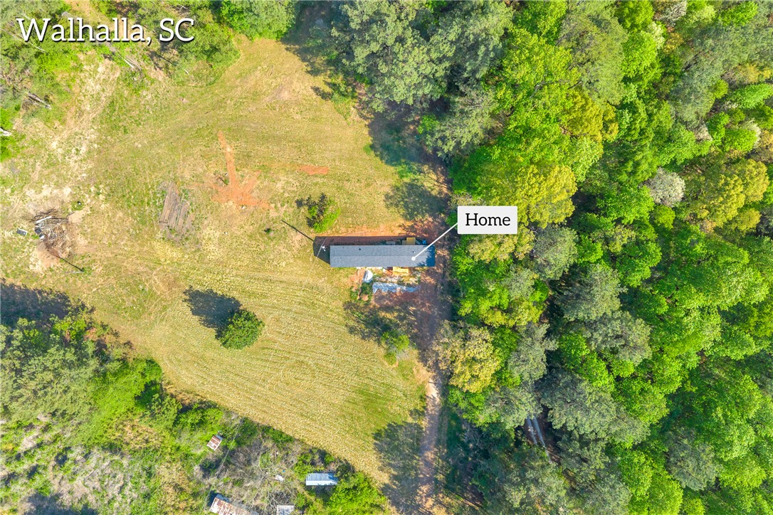 139 Nectarine Circle Walhalla, SC 29691 - Photo 44 of 49