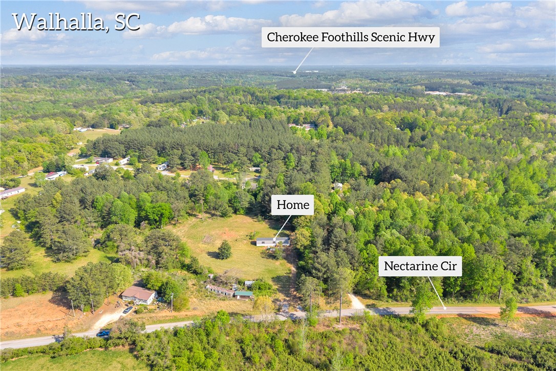 139 Nectarine Circle Walhalla, SC 29691 - Photo 45 of 49