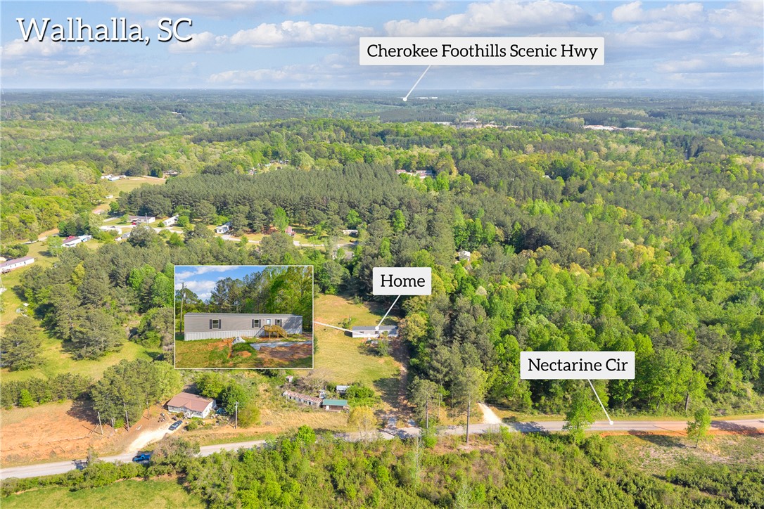 139 Nectarine Circle Walhalla, SC 29691 - Photo 46 of 49