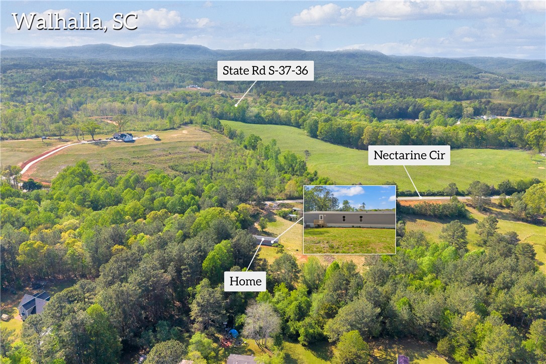 139 Nectarine Circle Walhalla, SC 29691 - Photo 48 of 49