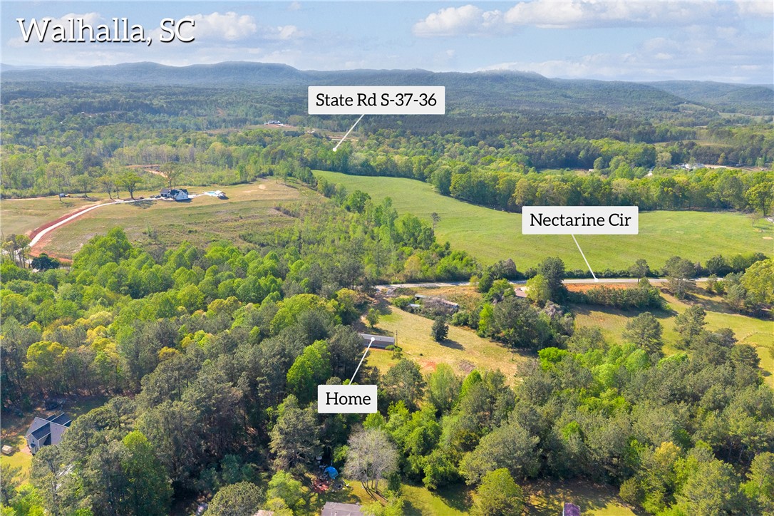 139 Nectarine Circle Walhalla, SC 29691 - Photo 6 of 49