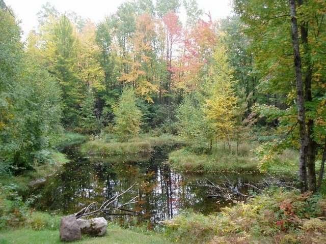 N12680 Hicks Landing Road Fifield, WI 54524 - Photo 16 of 20 Gallery Image 16