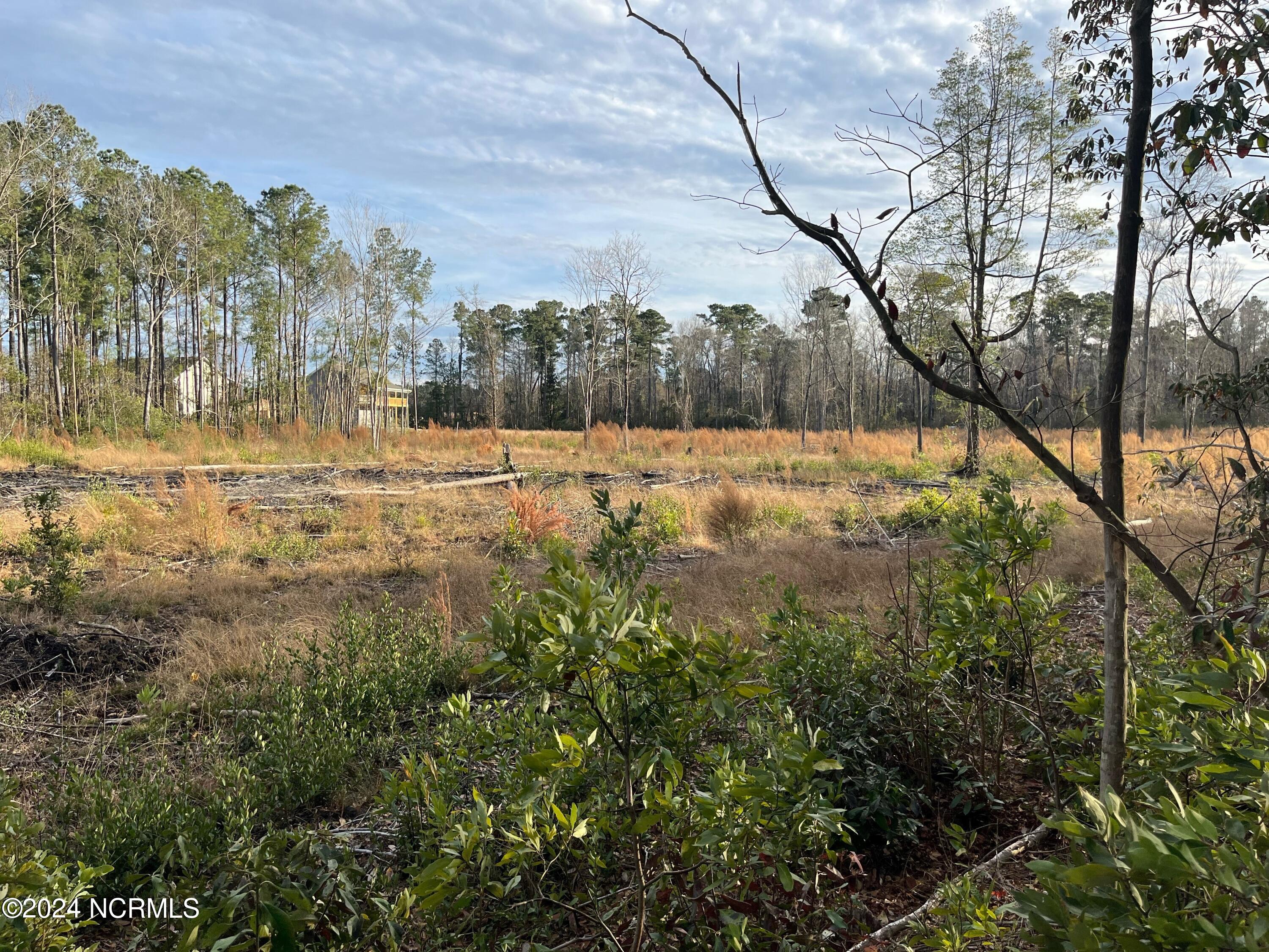 4 R Sidbury Road Castle Hayne, NC 28429 - Photo 5 of 16 lot pic 4