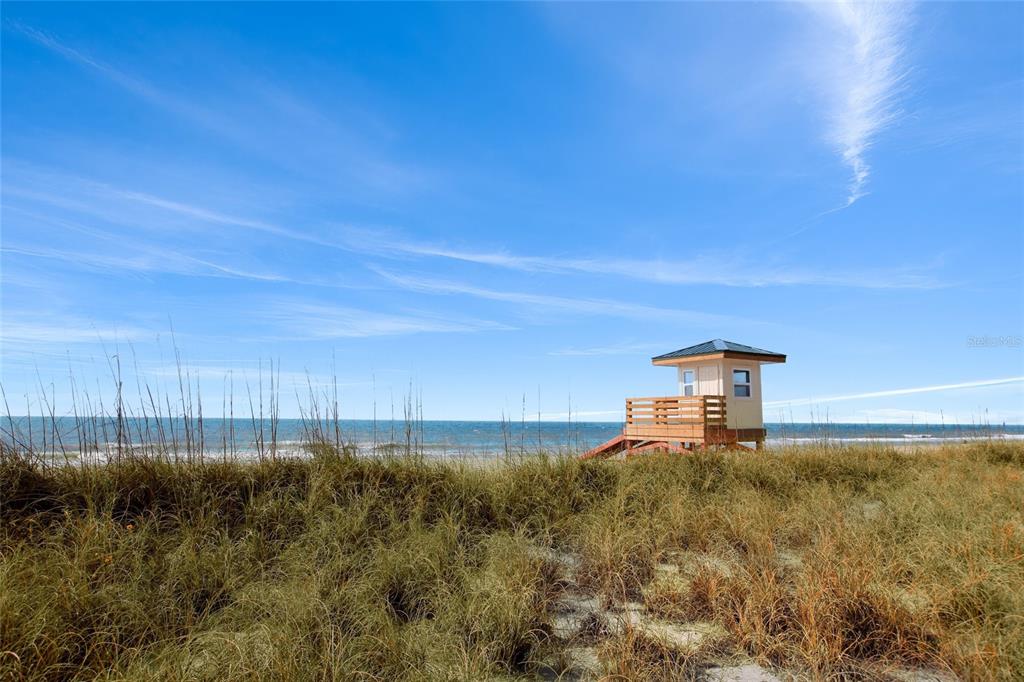 504 Gulf Street Venice, FL 34285 - Photo 41 of 47 a front view of a house with a yard
