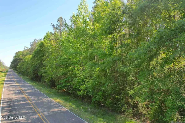 $300,000 | 0 Highway 63, Clinton, LA 70722