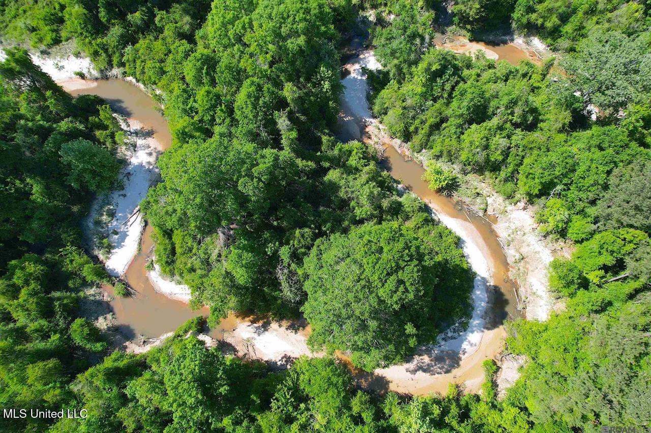 0 Highway 63 Clinton, LA 70722 - Photo 3 of 5 30 AC LA Hwy 63 Pic 2