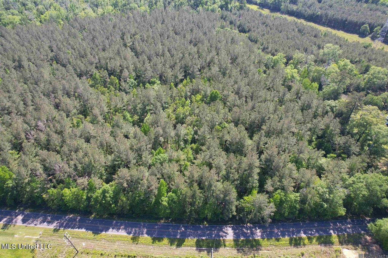 0 Highway 63 Clinton, LA 70722 - Photo 4 of 5 30 AC LA Hwy 63 Pic 3