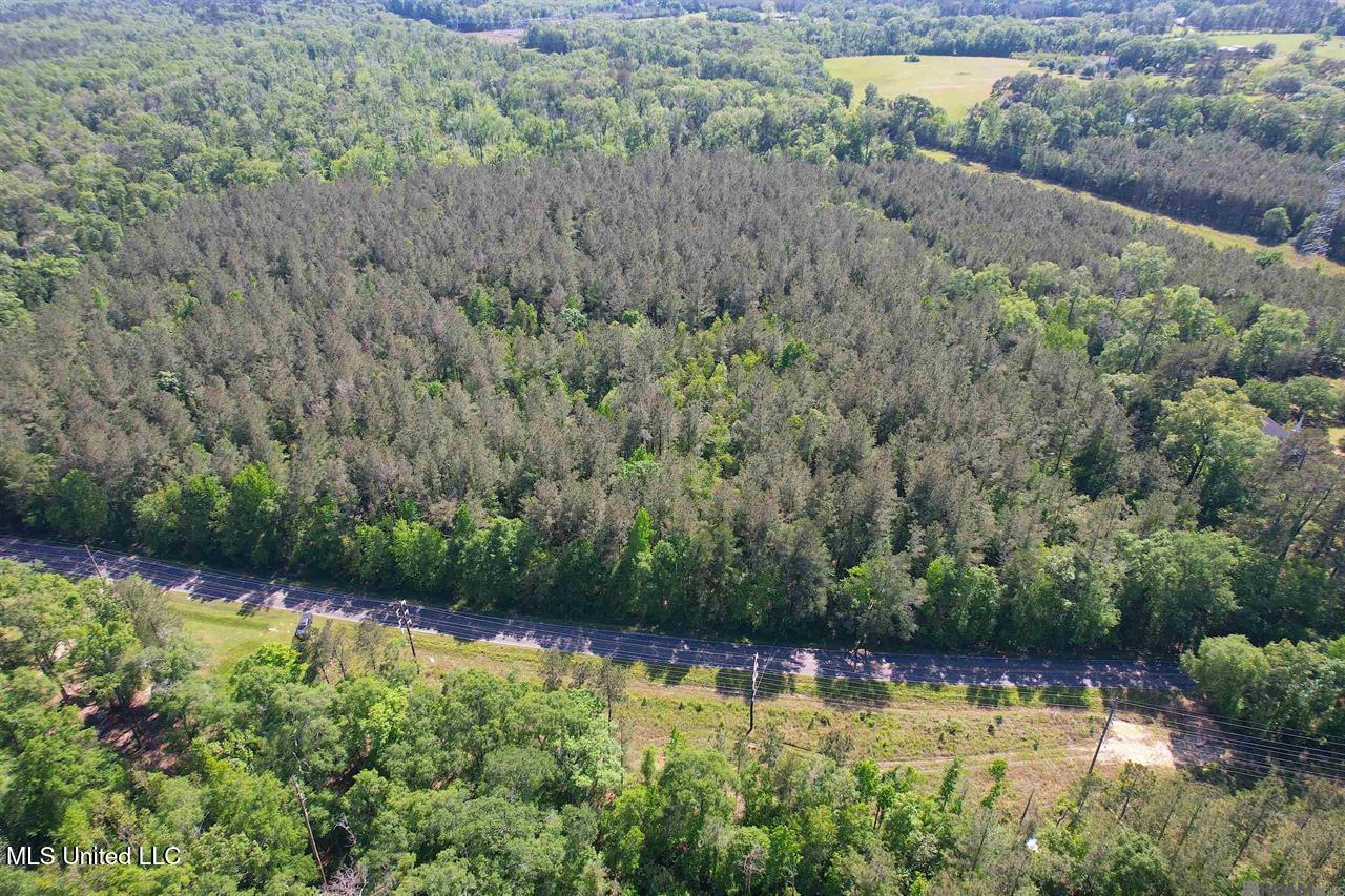 0 Highway 63 Clinton, LA 70722 - Photo 5 of 5 30 AC LA Hwy 63 Pic 4