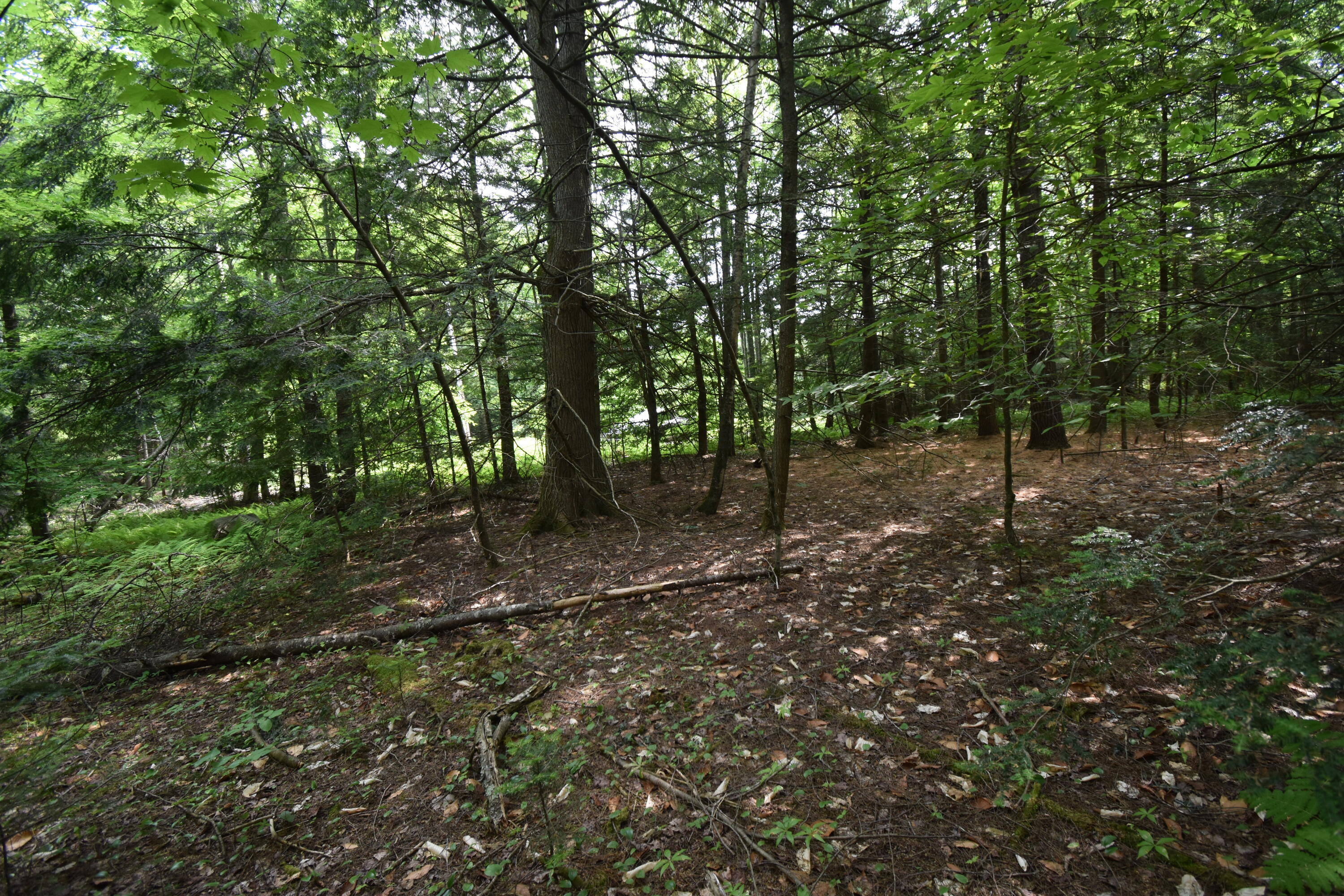 0 Rodrigue Lane Readfield, ME 04355 - Photo 30 of 51 DSC_0537