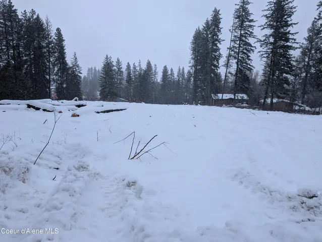 $140,000 | Lot 8-9 F Street, Plummer, ID 83851