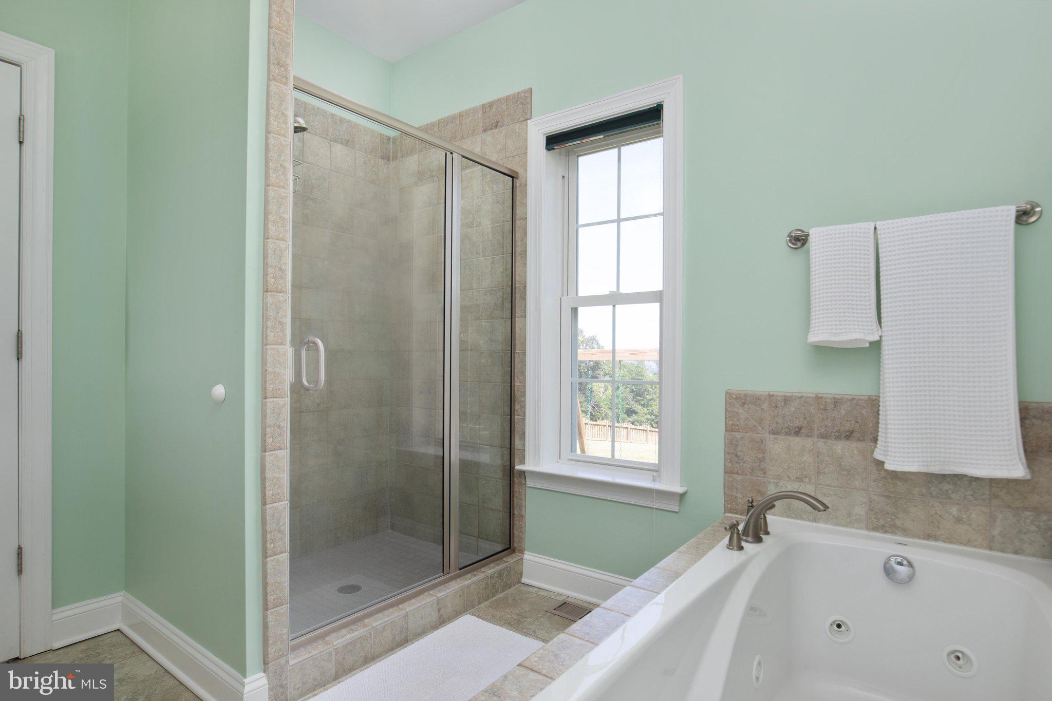 516 Zepp Road Maurertown, VA 22644 - Photo 26 of 63 Primary Bath