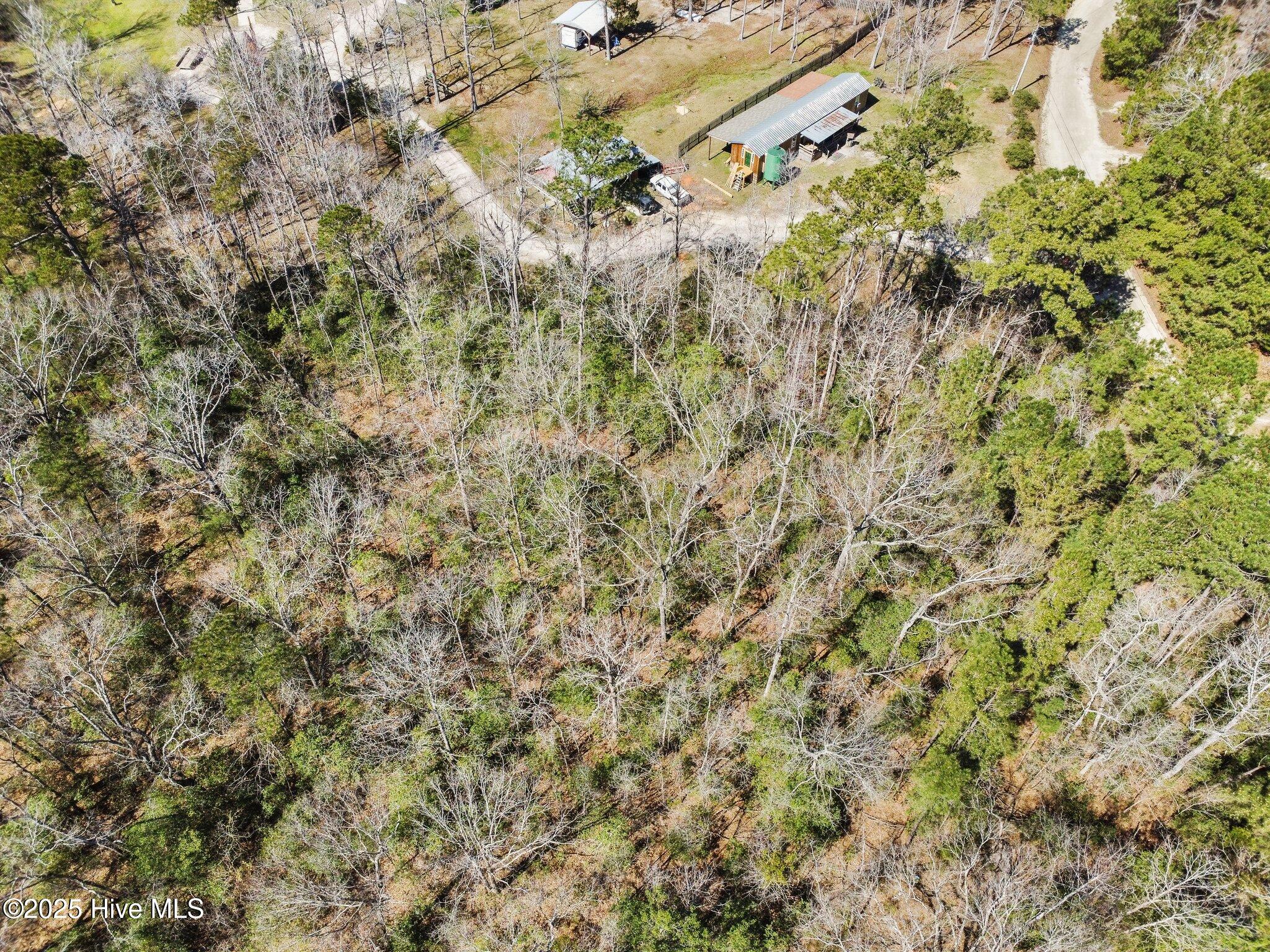 310 Clearview Drive Holly Ridge, NC 28445 - Photo 10 of 23 7-web-or-mls-07