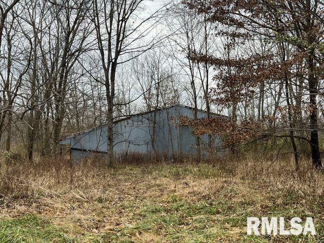 703 Buchanan Road Iuka, IL 62849 - Photo 2 of 7 a backyard of a house with lots of green space