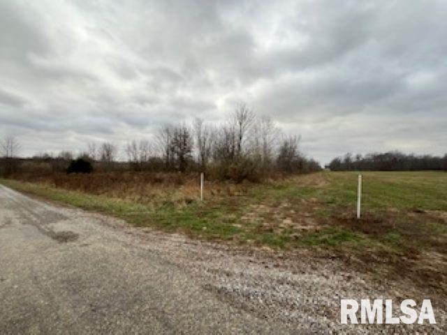 703 Buchanan Road Iuka, IL 62849 - Photo 5 of 7 a view of a outdoor space with a garden