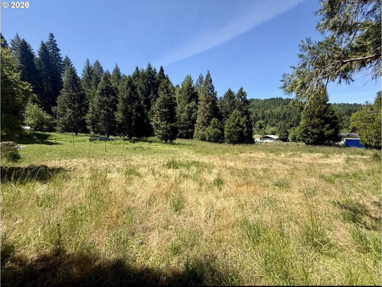 301 Humphrey Addition Road Glendale, OR 97442 - Photo 2 of 9 a view of a yard with trees in the background
