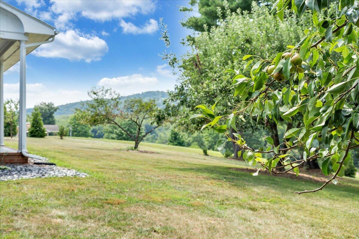 1125 Loyds Store Road Vinton, VA 24179 - Photo 84 of 119 081-MIB06269