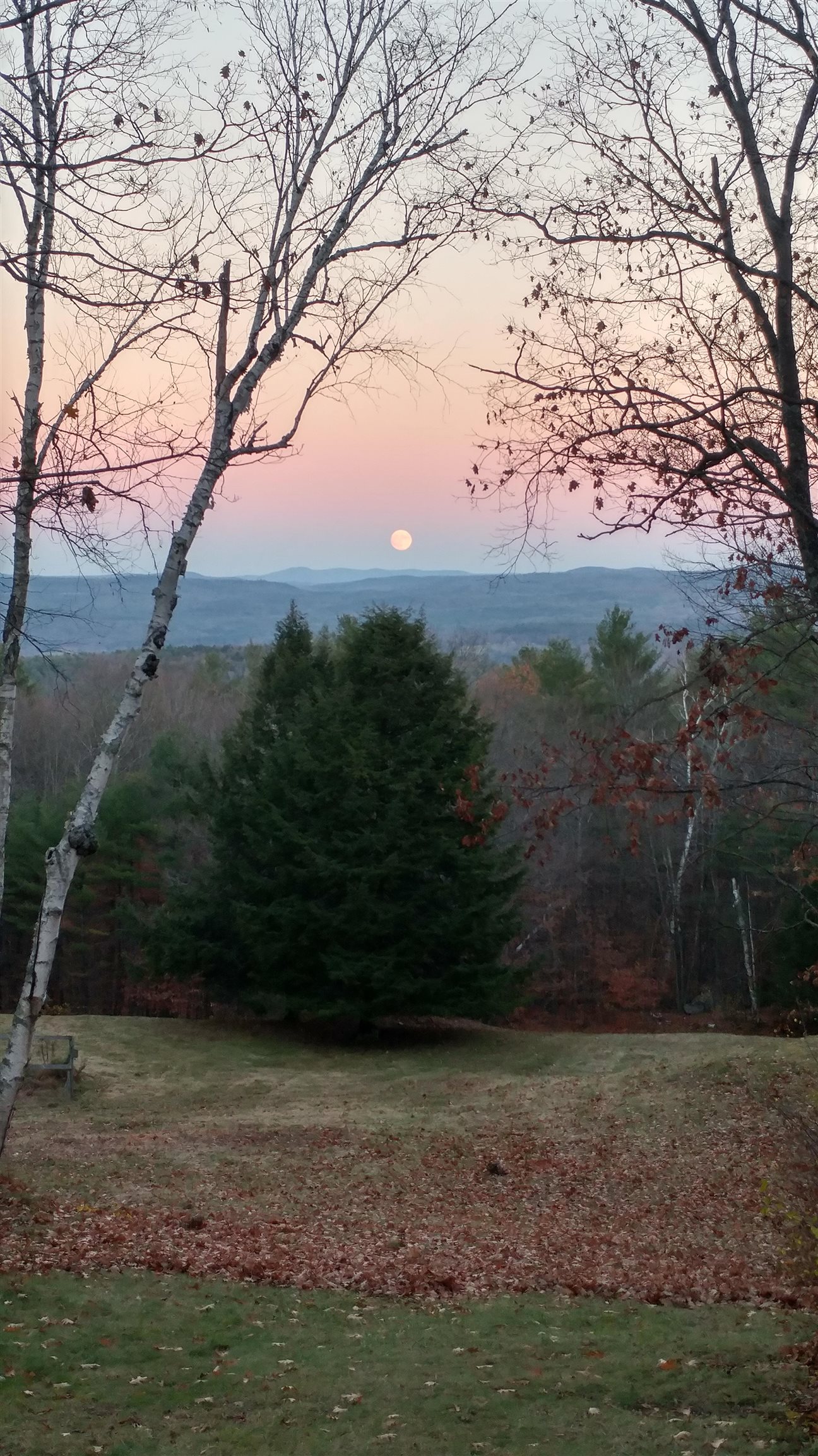 559 Parker Hill Road Rockingham, VT 05156 - Photo 49 of 58