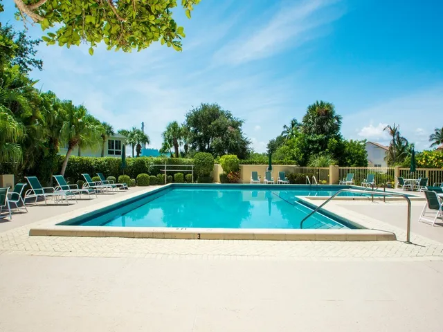 a view of a swimming pool with a yard and plants
