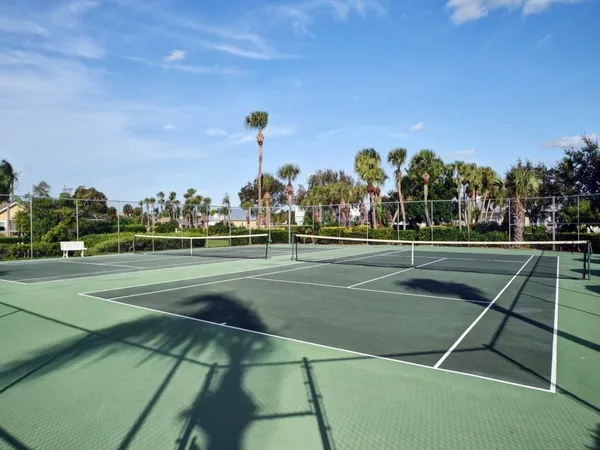 a view of a tennis ground with large trees