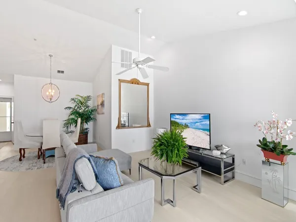 a living room with furniture flowerpot and a potted plant