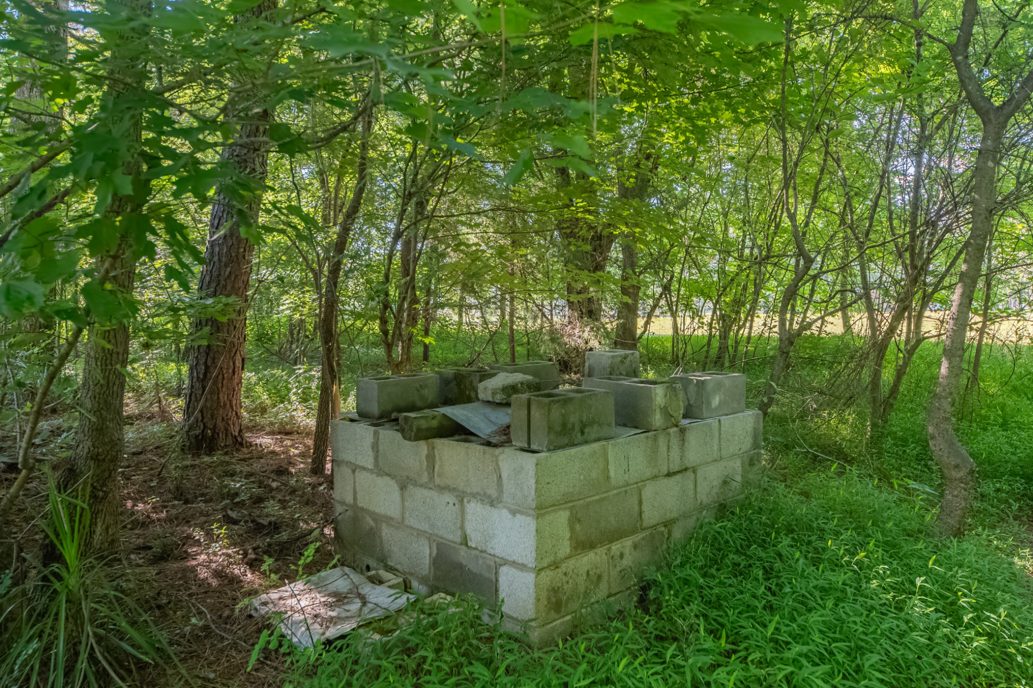 812 Good Hope Road Leoma, TN 38468 - Photo 27 of 66