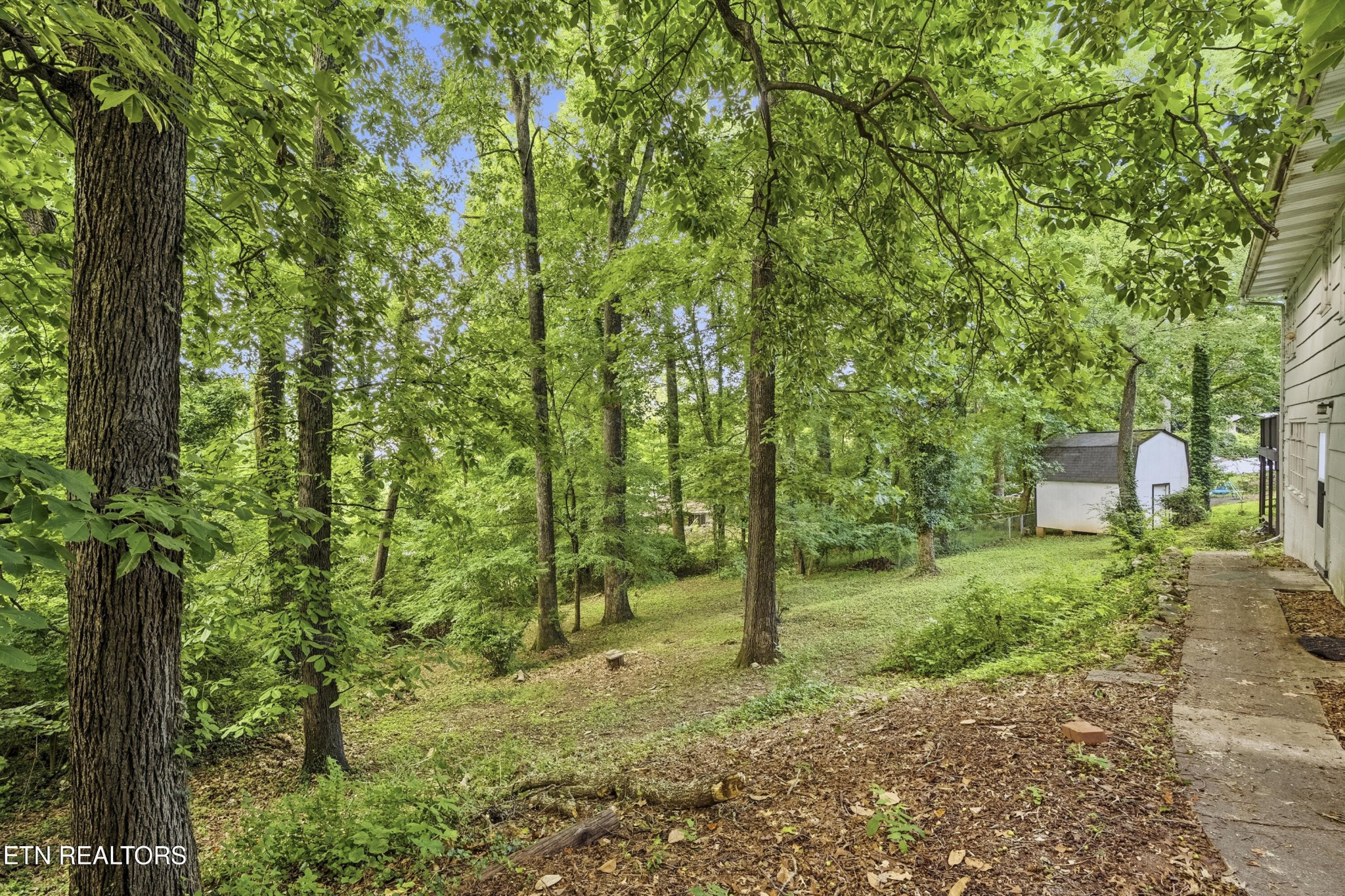 124 Orchard Circle Oak Ridge, TN 37830 - Photo 8 of 24 Gallery Image 8