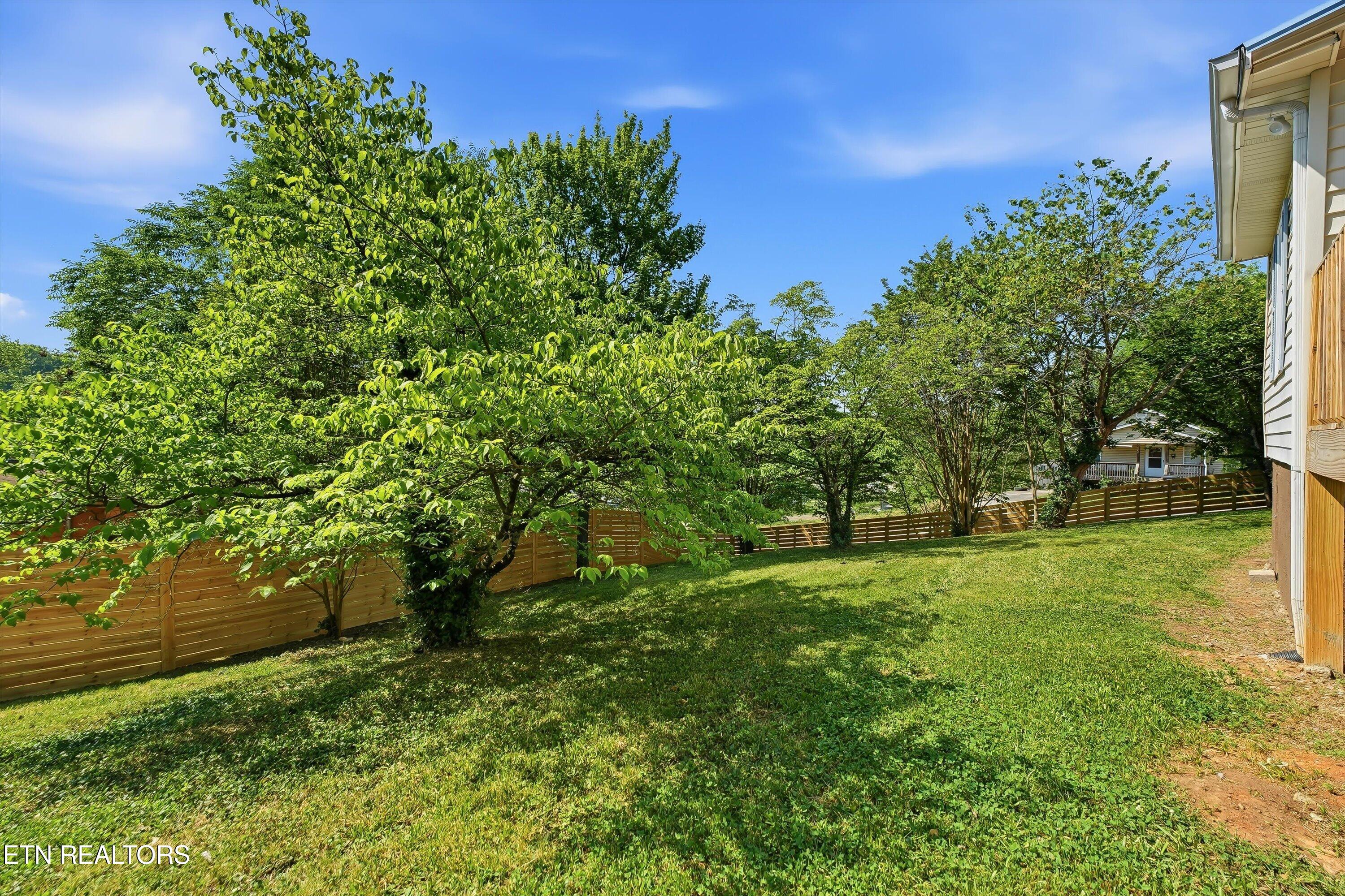 910 Reed Street Knoxville, TN 37921 - Photo 12 of 44 20-910 Reed St-20