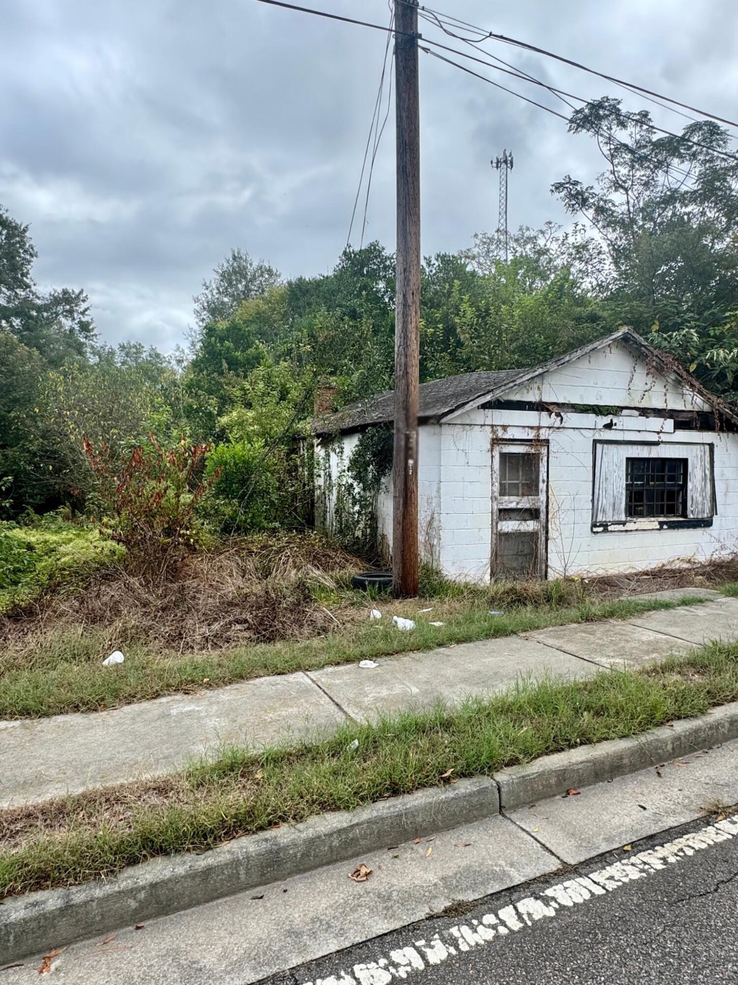 816 Perry Street Waynesboro, GA 30830 - Photo 2 of 4 Left Side
