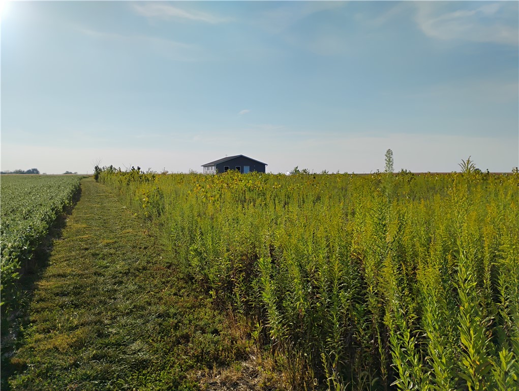 1462 North 3300 East Road Windsor, IL 61957 - Photo 5 of 38