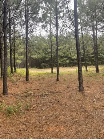 a view of open space with trees