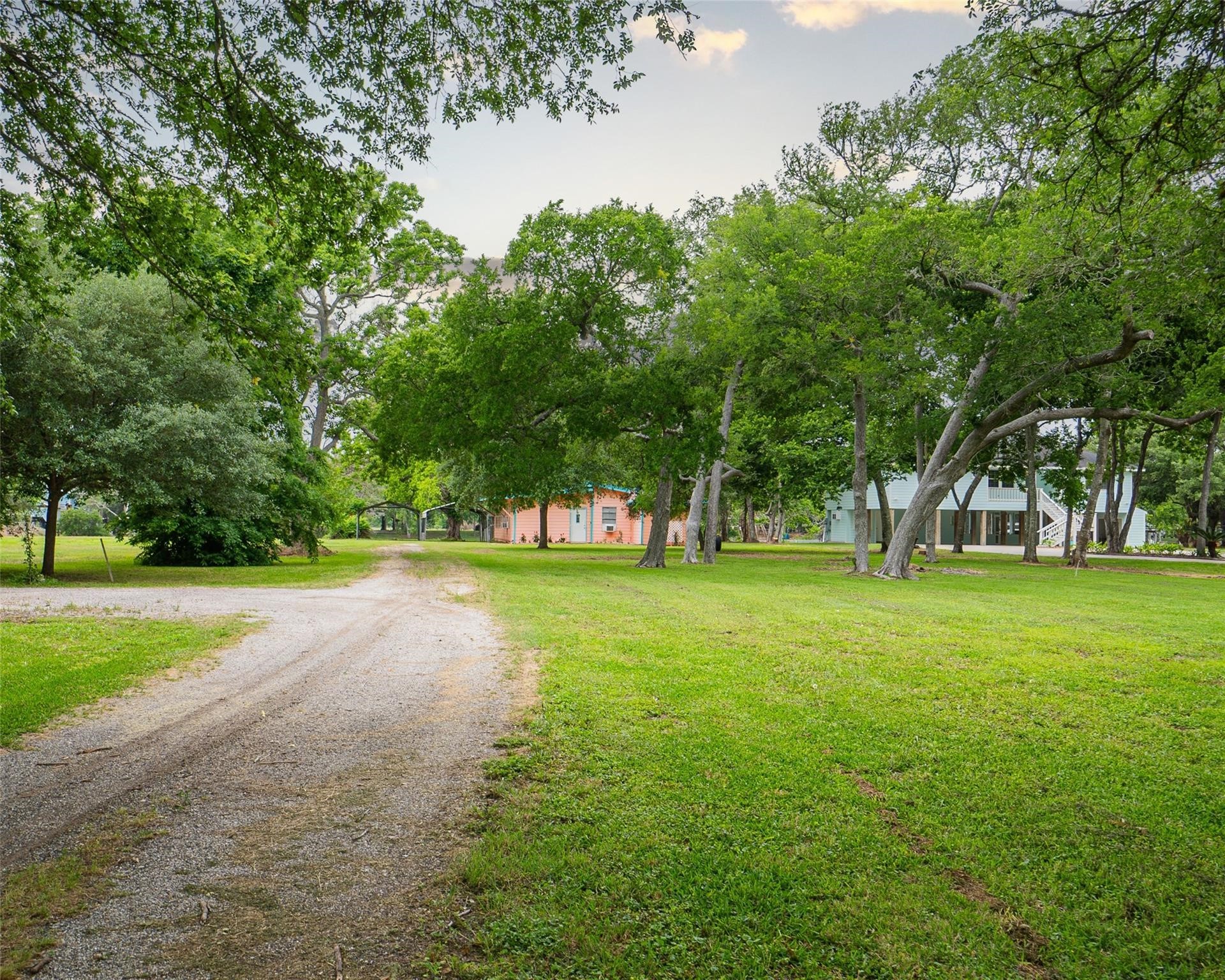 357 County Road 296 Sargent, TX 77414 - Photo 22 of 22 a view of a trees in a park