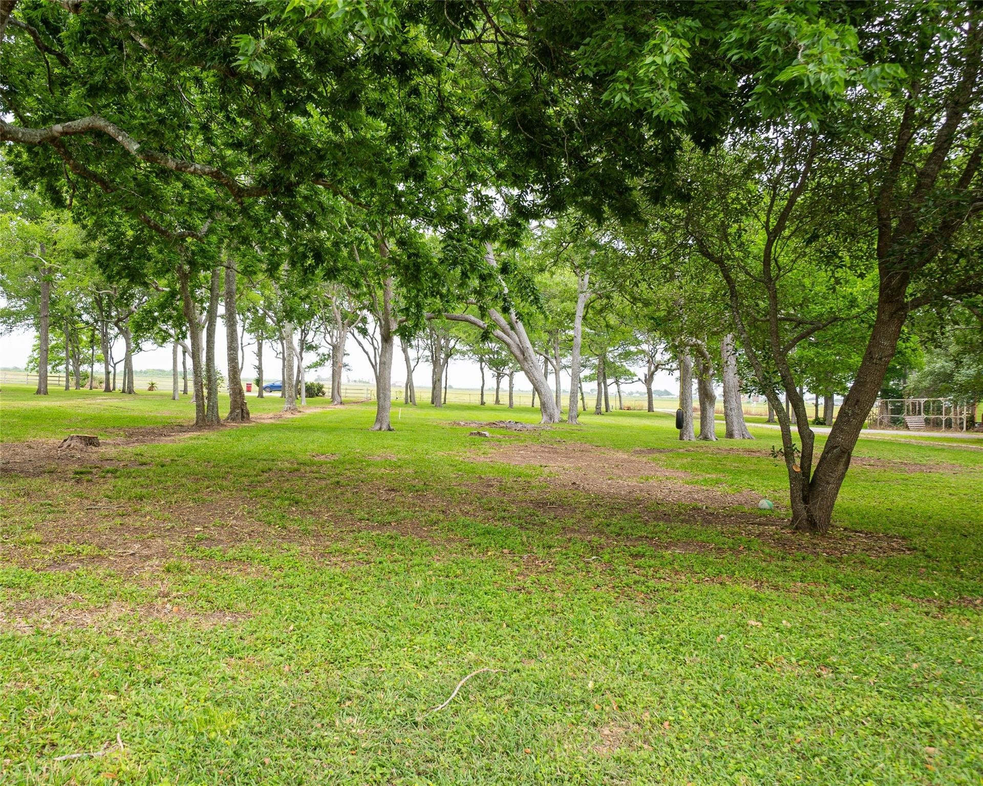 357 County Road 296 Sargent, TX 77414 - Photo 3 of 22 a view of a trees with a big yard